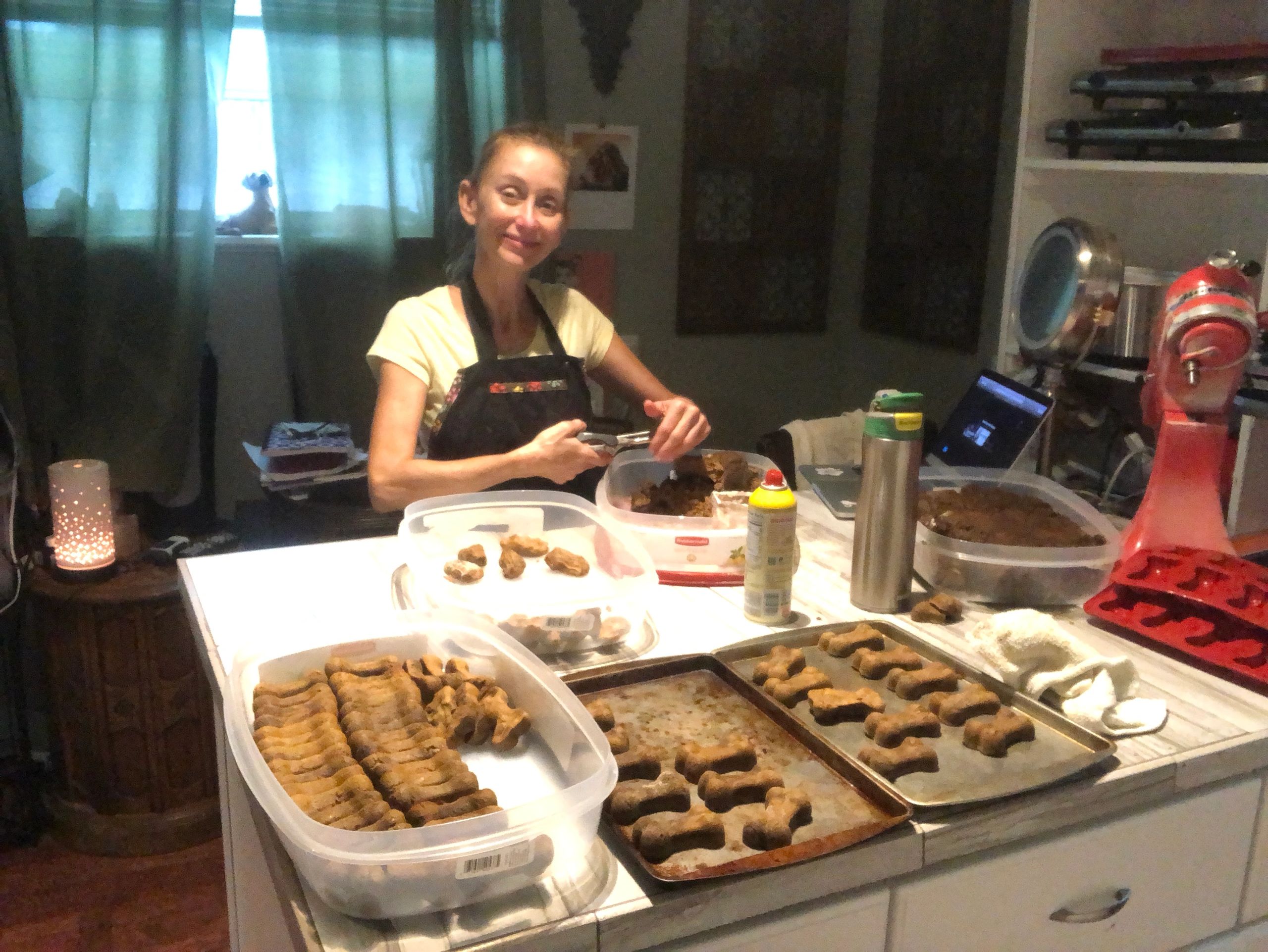 Homemade dog biscuits on trays