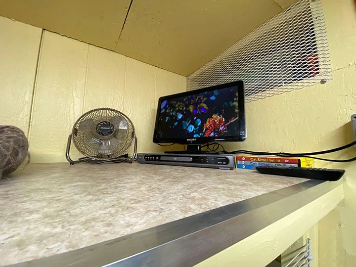 Small TV playing vibrant nature scene