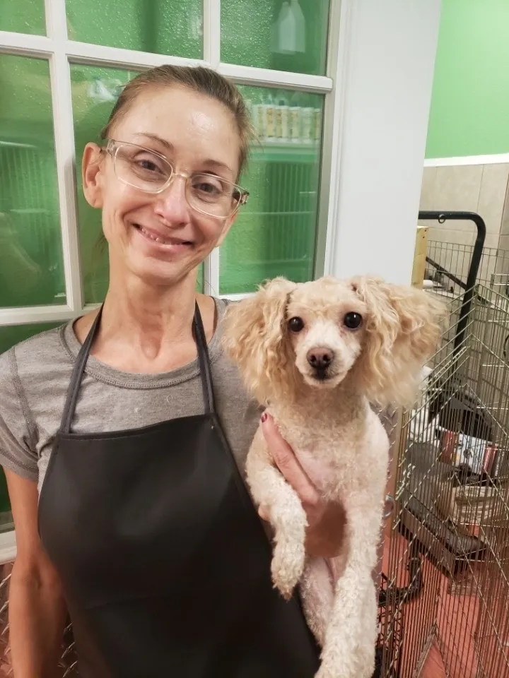 Smiling groomer with curly-haired dog