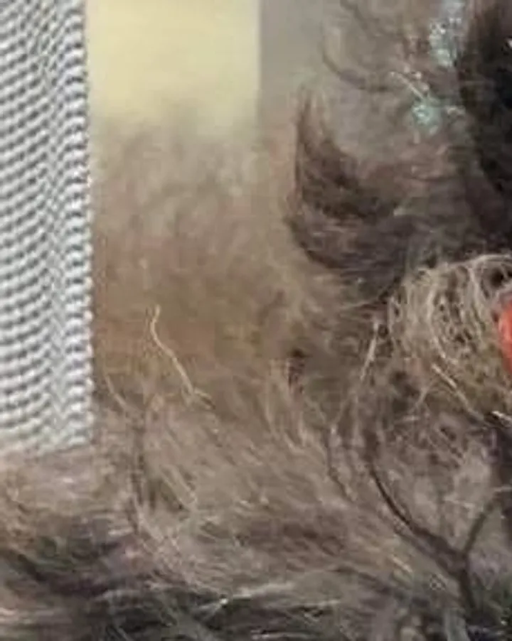 Textured hair and red detail