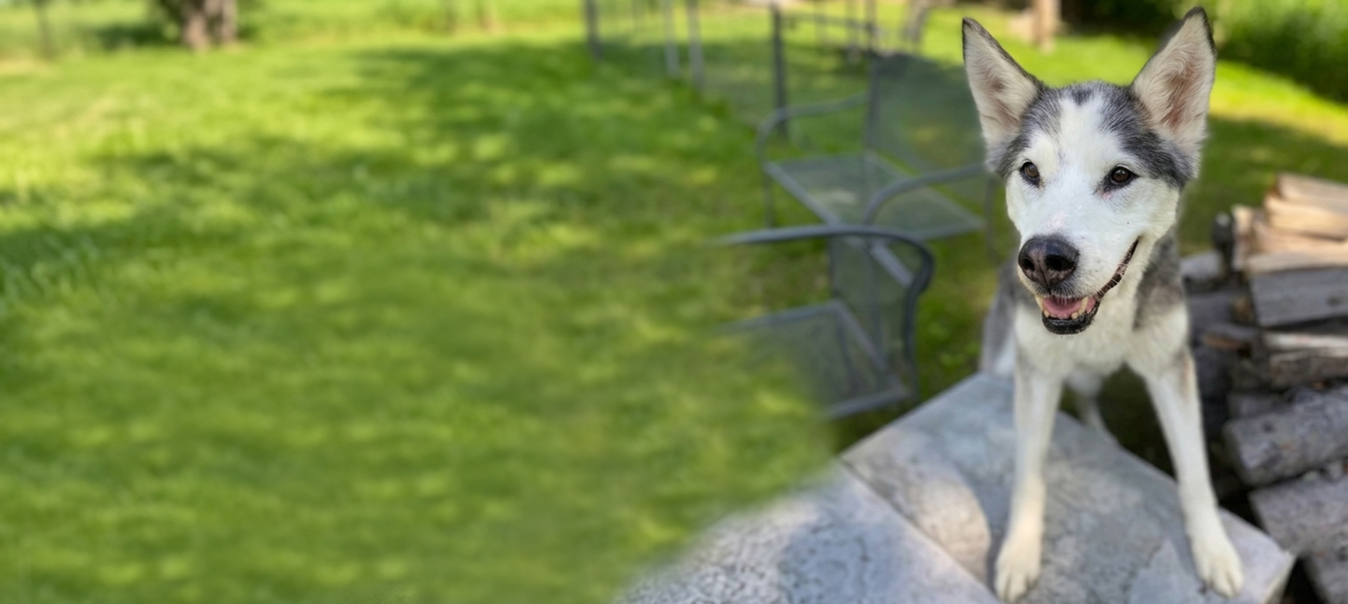 Outdoor metal chairs and tables on a stone patio with green grass.
